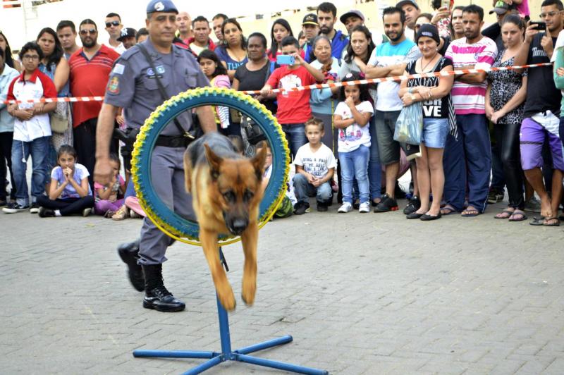 1º Fest Cão & Gato de Franco da Rocha comemora marca de 4 mil castrações realizadas desde o início da campanha 1º Fest Cão & Gato de Franco da Rocha comemora marca de 4 mil castrações realizadas desde o início da campanha