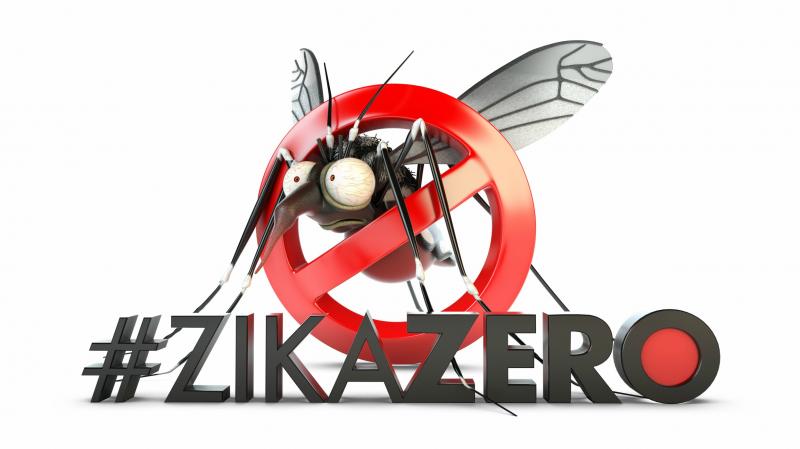 Controle de Zoonoses de Vetores realizará ação no Dia Nacional de Combate ao Mosquito Controle de Zoonoses de Vetores realizará ação no Dia Nacional de Combate ao Mosquito