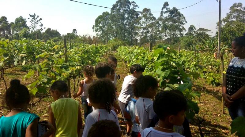Crianças da EMEB José Mauro de Vasconcelos visitam o assentamento rural em Franco da Rocha Crianças da EMEB José Mauro de Vasconcelos visitam o assentamento rural em Franco da Rocha