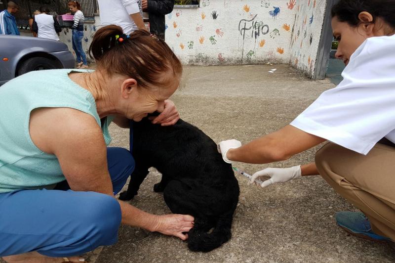 Mais de 10 mil animais foram imunizados na Campanha de Vacinação Antirrábica 2017 Mais de 10 mil animais foram imunizados na Campanha de Vacinação Antirrábica 2017
