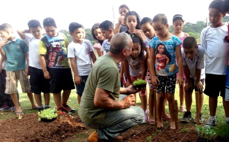 No Parque Montreal, crianças e comunidade se unem para cuidar da horta escolar No Parque Montreal, crianças e comunidade se unem para cuidar da horta escolar