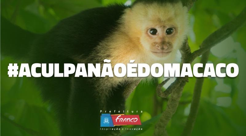 Febre Amarela: você sabia que o macaco não é o vilão? Febre Amarela: você sabia que o macaco não é o vilão?