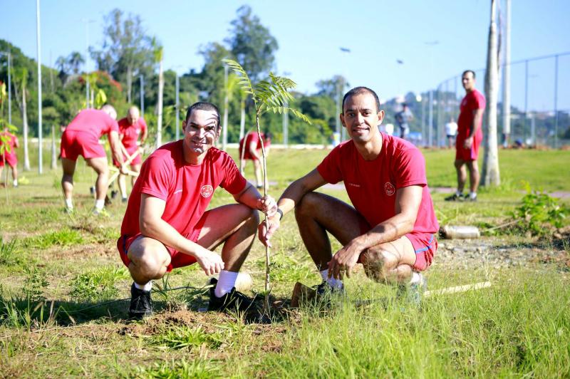 Parque municipal recebe 200 novas mudas de árvores nos espaços verdes Parque municipal recebe 200 novas mudas de árvores nos espaços verdes